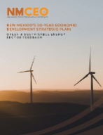 NMCEO_StrategicPlan_Cover_250